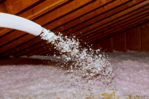 Best Cellulose Insulation in Sa Loma, CA