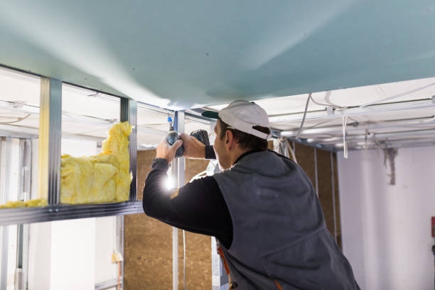 Types of Insulation We Offer in Casa Loma, CA