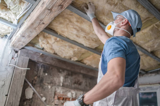 Best DIY Insulation Kits and Guidance in Sa Loma, CA