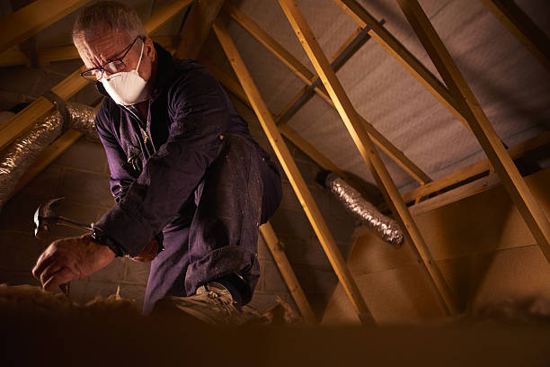 Best Insulation for Specific Applications in Sa Loma, CA